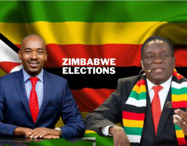 Fighting Back Against ED & Tshabangu Is Possible – Mutebuka