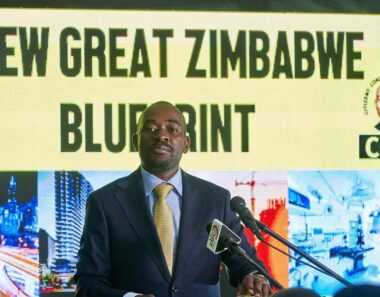 Zimbabwe’s main opposition leader, Nelson Chamisa, walks away from ‘hijacked’ party