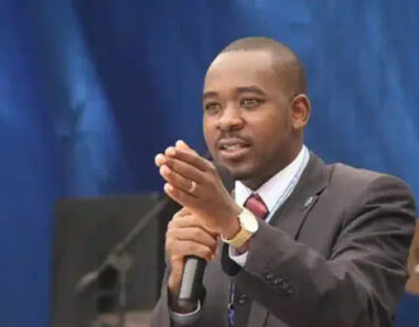 Nelson Chamisa Plans To Launch A New Citizens Movement After Quitting CCC