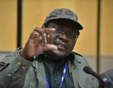 Civil Servants’ US$300 Salary “A Product Of One-armed Banditry”, Says PTUZ