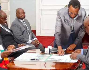 Mnangagwa violates constitution over new Zacc chair appointment