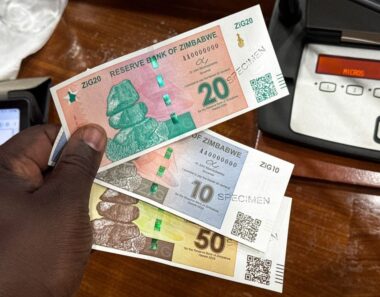 Zimbabwe unleashes police, intelligence services on people rejecting new ZiG currency