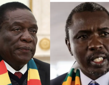The EU Should Follow the US Example and Place Sanctions Against Zimbabwe’s Leadership and Elites