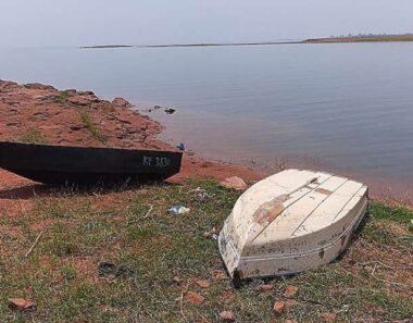 Deadly human-wildlife conflict lies at center of Zimbabwe lake and an embattled economy, says author