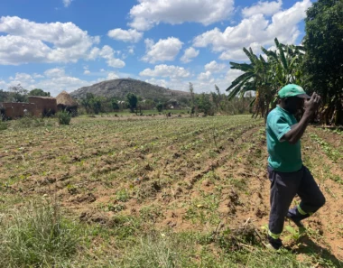 The next generation is redefining what is meant by a ‘farm’ and ‘home’ in Zimbabwe’s land reform areas