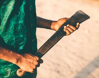 Bulawayo MP urges ban on dangerous weapons amid rising machete attacks