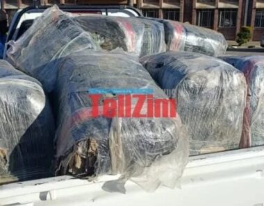 Smuggled Chicken Meat Bound For Harare Seized And Destroyed