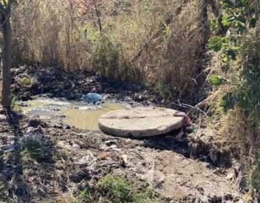 “We are drowning in sewage”: Cowdray Park residents decry collapsing drainage system