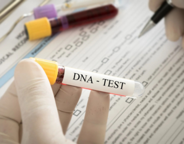 DNA test should precede maintenance claims, petition tells MPs
