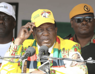 Zanu PF can legally extend Mnangagwa’s term without a referendum: Prof Moyo
