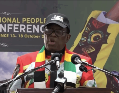 Ibhetshu LikaZulu urges resistance to Mnangagwa term extension