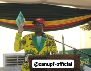 Leaked Document On Mnangagwa Presidential Term Extension Does Not Reflect Official Position, Says Ziyambi