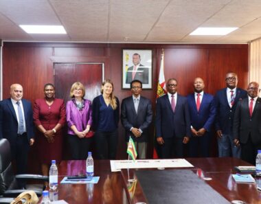 From vision to action: Zimbabwe launches its National Public Health Institute