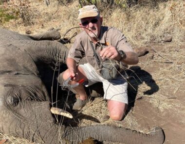 Wire snares continue to kill wildlife around Hwange, despite crackdown