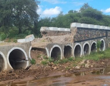 Senator calls for urgent repairs to flood-damaged roads and bridges