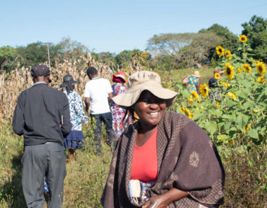Social reproduction and land reform: introducing a blog series