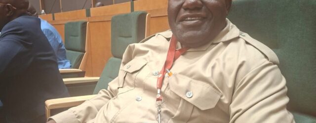 CCC senators blow hot and cold on bill to extend Mnangagwa rule