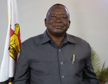 Victor Matemadanda