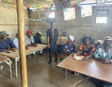 “We can’t talk of the environment without taking about the local leadership” Why politics matter when thinking about land use change in Zimbabwe