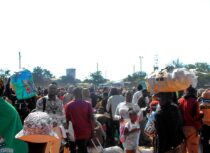 We were your backbone: Almost 60 000 Zimbabweans go – some say SA will suffer without them