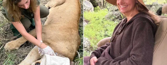 She Quit Her Finance Job to Live on a Remote Wildlife Reserve in Zimbabwe. She Says She’d Do It ’10 Times Over’ (Exclusive)