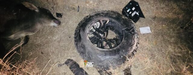 Police ‘totally discourage’ night driving after spike in accidents