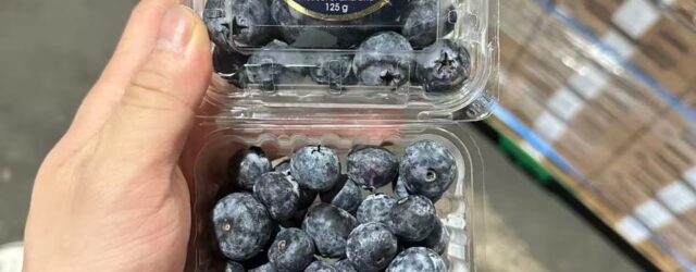 Zimbabwe ships first-ever blueberry consignment to China