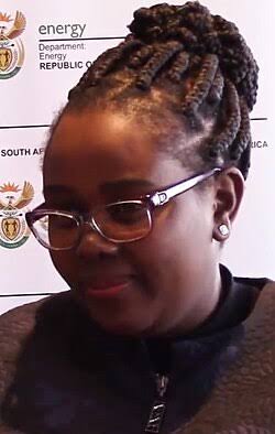 There is no crisis, SA minister