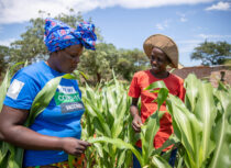 Call for Research Papers – Building Climate Resilience in Southern Zimbabwe