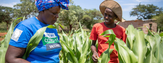 Call for Research Papers – Building Climate Resilience in Southern Zimbabwe