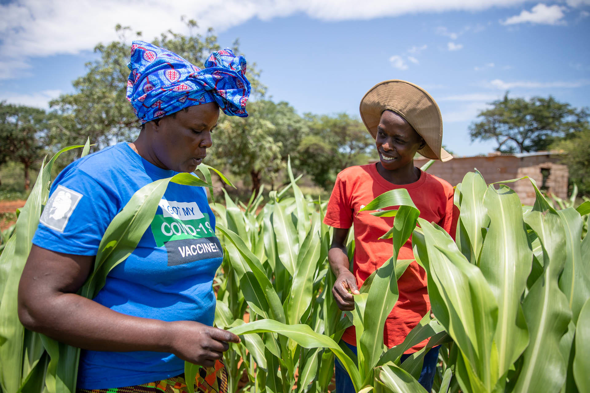 Call for Research Papers – Building Climate Resilience in Southern Zimbabwe