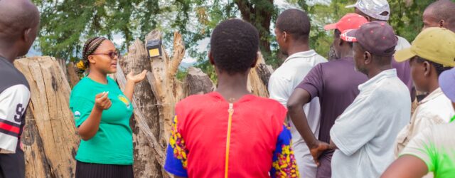 As Human-Wildlife Conflict Rises, Zimbabwean Communities Find New Ways to Coexist
