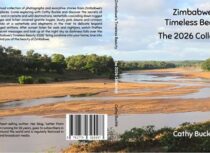 The Mongoose And The New Book