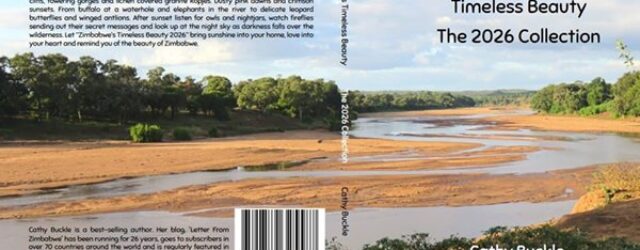 The Mongoose And The New Book