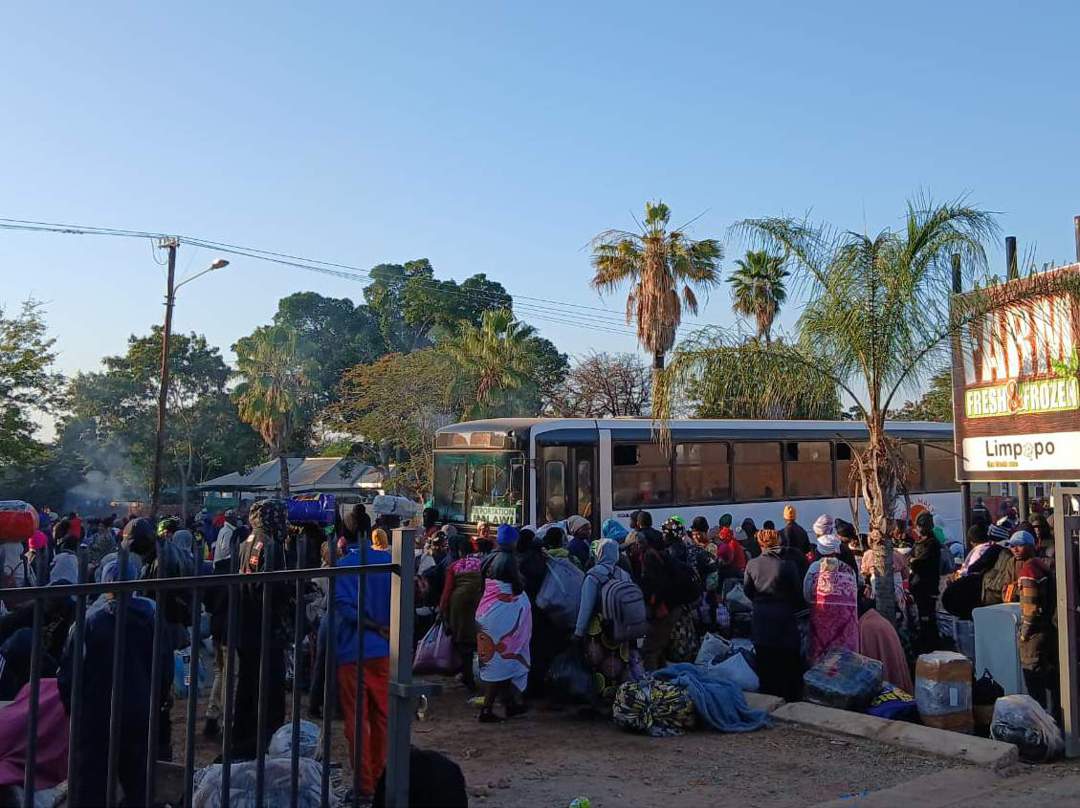 Large crowds gather at Musina camp to process exit papers for Beitbridge