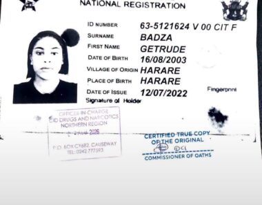 Mnangagwa’s Daughter in law’s Woes Deepen as Police Allege She Used Two IDs, Remains in Custody Awaiting Bail Ruling