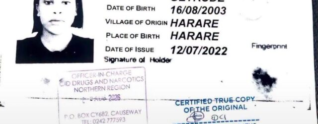 Mnangagwa’s Daughter in law’s Woes Deepen as Police Allege She Used Two IDs, Remains in Custody Awaiting Bail Ruling