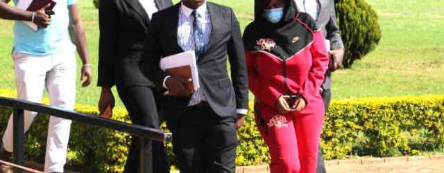 Kelsea Tafirenyika says Mnangagwa son gifted her US$9.3m property empire