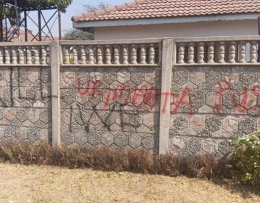 “Gunman In Grey Toyota GD6” Vandalises Jacob Ngarivhume House With Abusive Threats