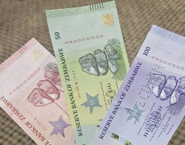 Govt Will Not Confiscate US Dollar Accounts Under Monocurrency – Guvamatanga