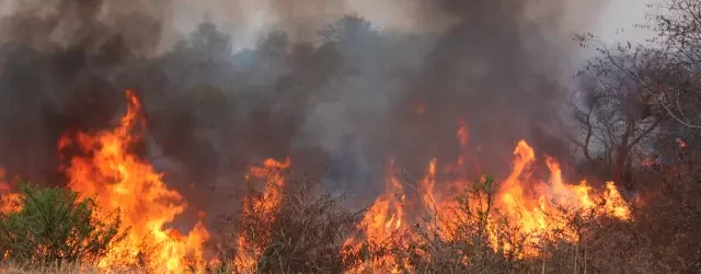 Bulawayo veld fires surge 75% as city blames careless burning