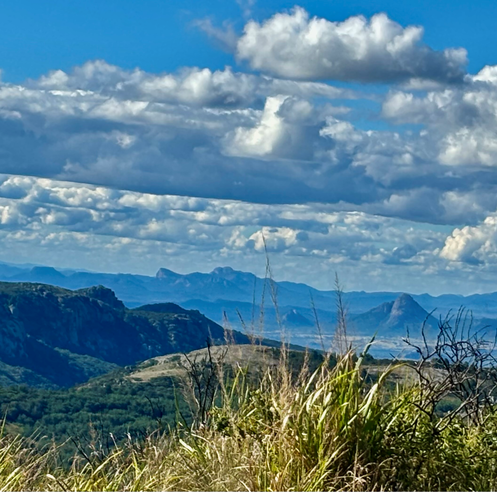 Zimbabweland round-up: top posts so far this year