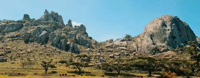 Zimbabwe lithium concentrate ban takes effect in January with one sulphate plant complete