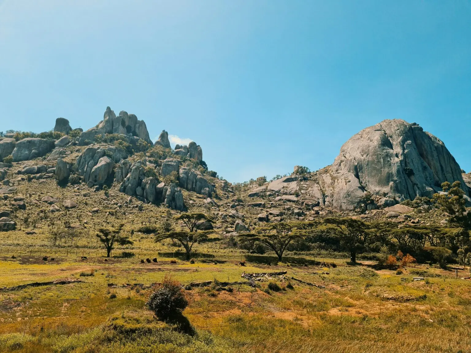 Zimbabwe lithium concentrate ban takes effect in January with one sulphate plant complete