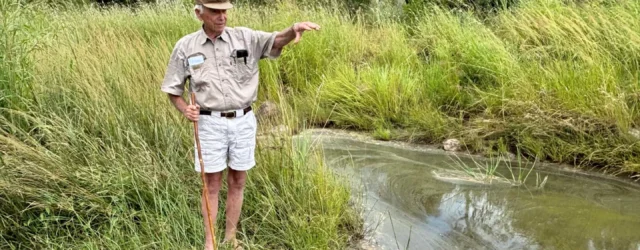 Savory tales: controversies from the Zimbabwean bush