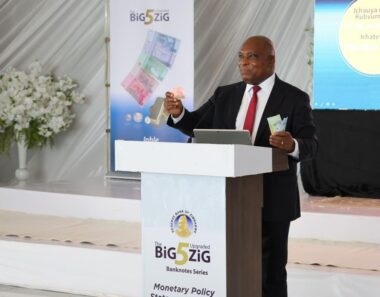Govt will not talk monocurrency until conditions are met, says Mushayavanhu