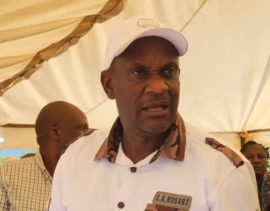 Owen Mudha Ncube: The dangerous enforcer lurking in the shadows of Mnangagwa’s regime