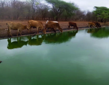570 megalitres of raw sewage dumped into rivers daily as Zimbabwe’s treatment system collapses
