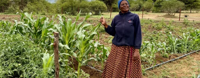 Can AI models help farmers in the face of uncertainty?