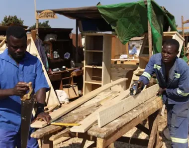 Informal sector Zim’s biggest employer yet lacks adequate policy support: BPC